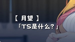 【GAL梗百科】“TS”是什么？