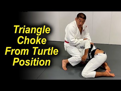 Surprising Judo Triangle Choke From The Turtle Position by Satoshi Ishii