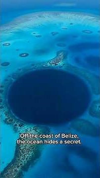 Discovery at the Bottom of THE GREAT BLUE HOLE in Belize!😮