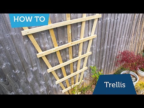 How to make trellis for climbing plants