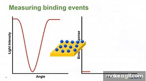 Fundamentals of Surface Plasmon Resonance (SPR) and High Throughput Kinetic Analysis on Make a GIF