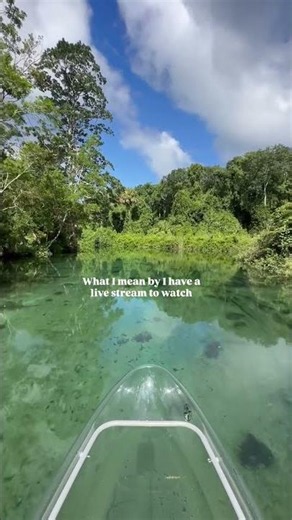 Guided ecotours in 100% clear kayaks on the Weeki Wachee River 🧜‍♀️