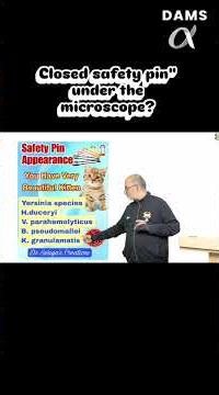 Closed safety pin" under the microscope? #neetpg #fmge #inicet #neet #education #microbiology