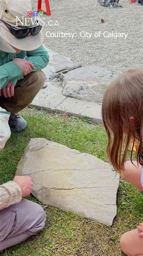 Seven-year-old finds ancient fossil at Calgary playground