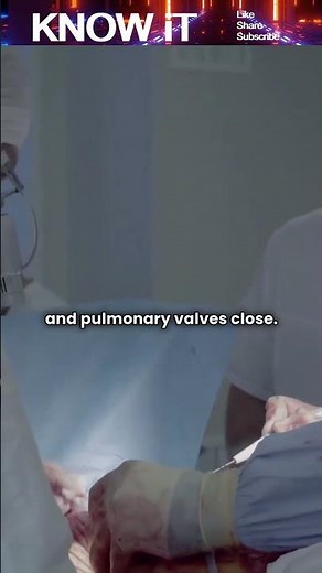 What causes the “lub-dub” sound in a Heartbeat? ❤️