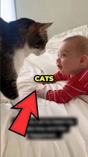 The Biggest Lie About Cats & Babies 👶🐱