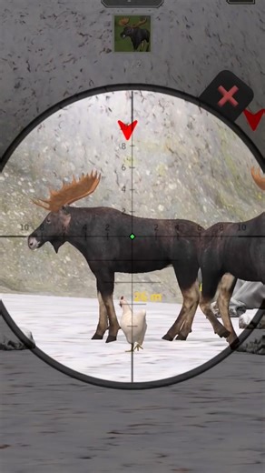 animal hanting video for gun #shorts #hanting