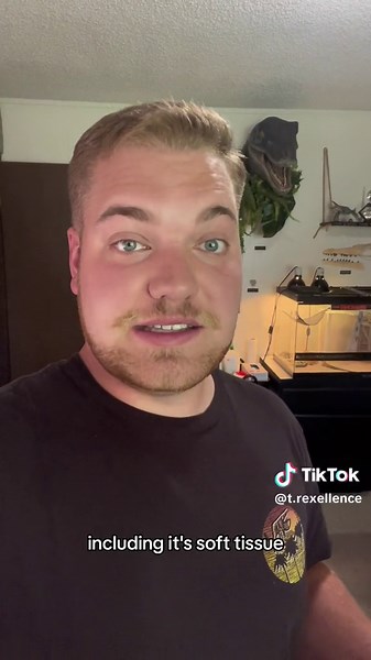 Discovering the True Colors of Dinosaurs