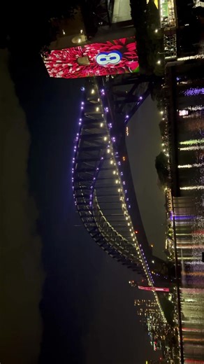 Oh how I loved 2025 and cheers to a beautiful 2026 ✨🥂🎆 #traveltok #fyp #2026 #sydneyharbourbridge #australia