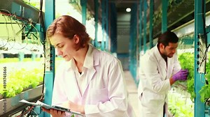 Two researchers working together take care quality indoor hydroponic vegetable farms using led grow lights built in from solar cell panels photovoltaic are monitoring healthy growth chemical free.