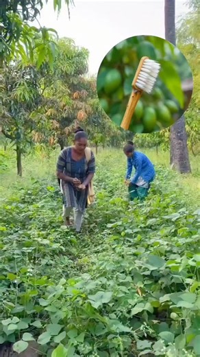 Dr.Ritesh Katheriya | Rajiv_Dixit_s_revelation_Leave_Colgate,_adopt_homemade_toothpaste #viralreels #trending #shortsfeed | Instagram
