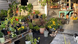 Loblolly Acres on Reels