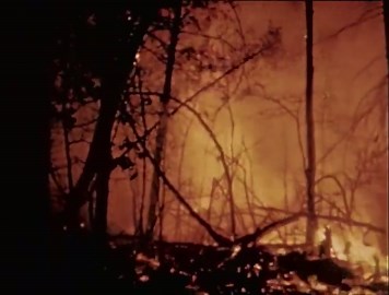 Connecticut's Natural Wonders: Forests, Parks & Conservation