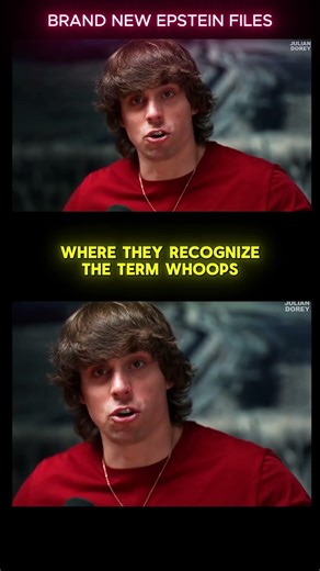 Epstein Seagull Email They Tried to Bury | LOG_001