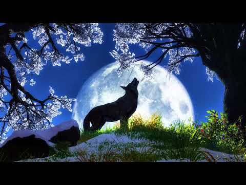 Pathfinder Campaign - G22