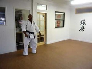 Karate Kata - Pinan 1 [Sensei Orlando]