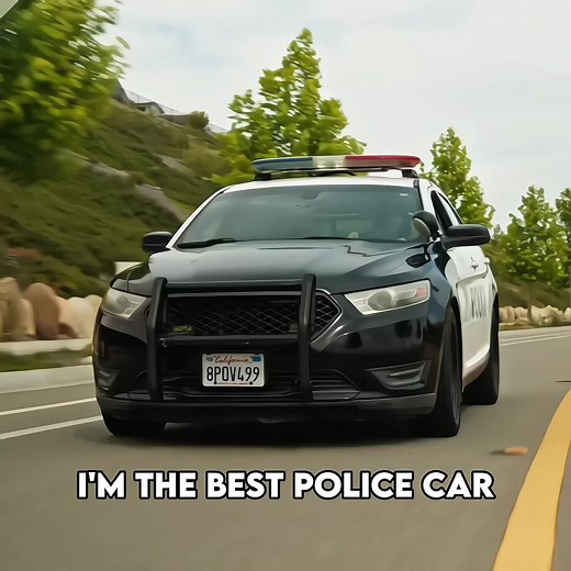 Discover the Best Police Cars of America