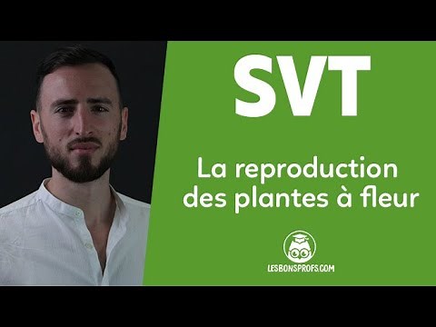 The Reproduction of Flowering Plants - Life and Earth Sciences - Middle School - Sixth Grade - Th...