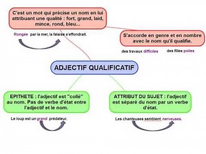 L'adjectif qualificatif