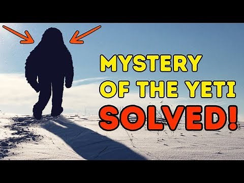 Scientists Have Shown Who The Yeti Is