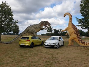 Zwei Hybride zur Wahl