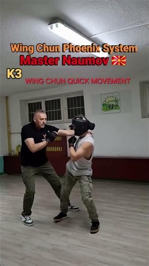 Wing Chun Top Combat technique-Master Naumov #wingchun #martialarts #kungfu #sports #life