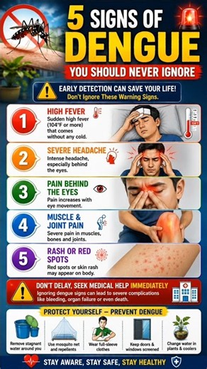 Dengue/Dengue fever/Sign of Dengue fever/Sign and symptoms of Dengue fever