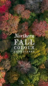 Get off the beaten path and discover these Norther Ontario adventure-filled hikes, paddles and bike rides to fall views. 🍂 Lake Laurentian Loop, Sudbury Lake Laurentian Conservation Area offers 2,415 acres of protected green space on the edge of Sudbury. The Lake Laurentian Loop is the most challenging trail at the conservation area, boasting scenic panoramic lookouts, a couple rock scrambles and flat terrain past fens. 🍂Duchesnay Falls, North Bay Travel through a forest of mixed deciduous and