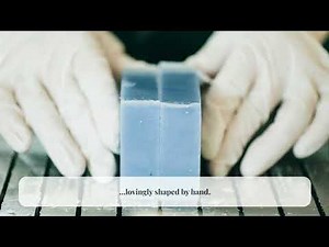 Ladybug Japan | Hinode Shotengai