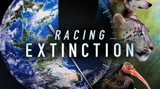 Racing Extinction (2015)