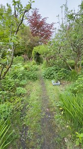 My Cottage Garden May 9. | Bealtaine Cottage