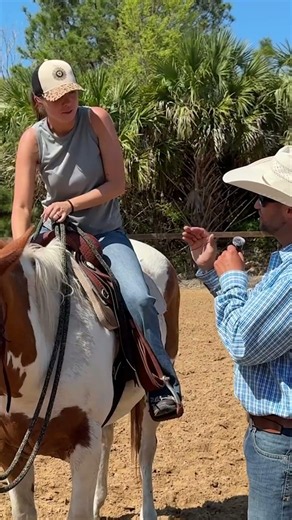 Stop just training horses—start running a profitable business ⬇️ #horse #horsetraining