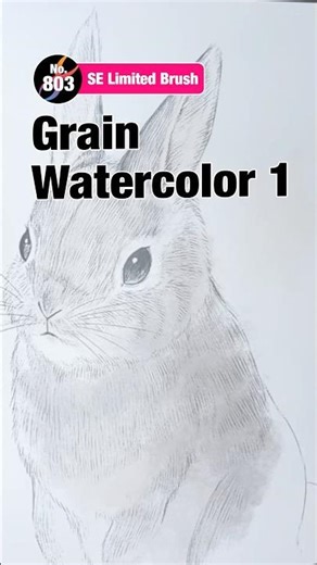 'Grain Watercolor 1' | FireAlpaca SE Limited Brush
