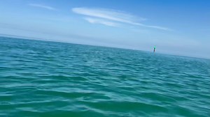 6.1K views · 183 reactions | COME RIDE THE FISHMONSTER STEALTH WITH FISHMONSTER…. #KEYWESTCHARTERBOAT #KEYWESTFLATS | FishMonster Key West | Facebook