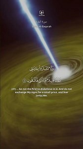 Surah Al Baqara Verse 41-42 | Yasser Al Dossari | English Translation