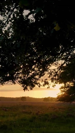 You cannot solve a problem until you acknowledge that you have one and accept responsibility for solving it. | Zig Ziglar