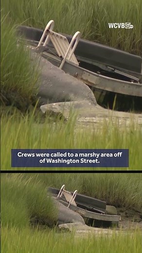 Dead whale washes ashore in Winthrop