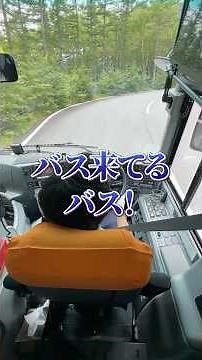 -後編-【山道訓練/上り】ふじあざみライン #観光バス