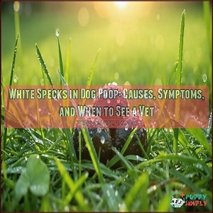 White Specks in Dog Poop: Causes, Symptoms, and When to See a Vet