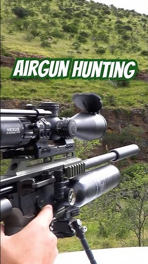 Long-Range Hunting with the FX Impact