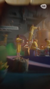 Conheça a Fantástica Natland! | Nat