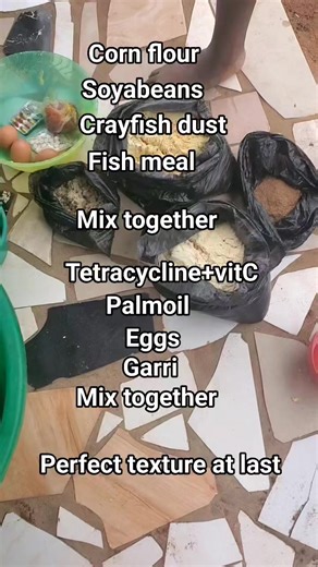 You can formulate fishfeed yourself. Just get the right formula and materials and you're good to go. We're ChiBest Fish Farm, we deliver, always. #fingerlings #fishfarming | ChiBest Fish Farm