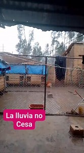 4.9K views · 162 reactions | El CIELO SE CAEEE Y POR MAS QUE PEDI AYUDA POCO PUDE CONSEGUIR, hoy una lluvia más que nos inundó  955 646 940 | Emilia Rescata Animales Huancayo | Facebook