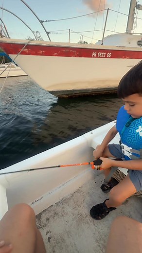 😍 | David Jr Cepeda Matías