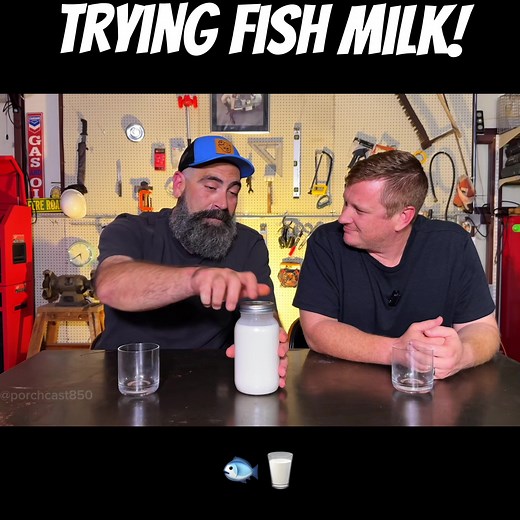 We tried Fish Milk! #funny #drink #fishmilk #milkinfusions #fypシ | fish