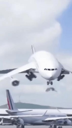 young rapper 26 😍😍😍 (@youngrapper49)’s videos with original sound - young rapper 26 😍😍😍