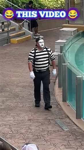 Tom the Mime at SeaWorld: A Unique Performance Experience