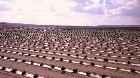 Why Dryland Farming is a Big Mistake