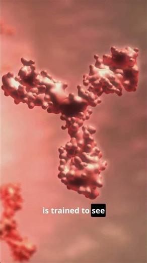 What are ABO Blood Types?