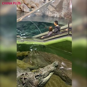 This escalator leads down into an aquarium in Shanghai. | China Plus Culture